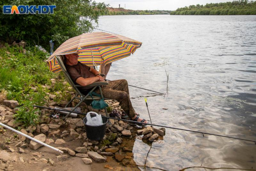 Фестиваль рыбной ловли пройдет в Волжском 