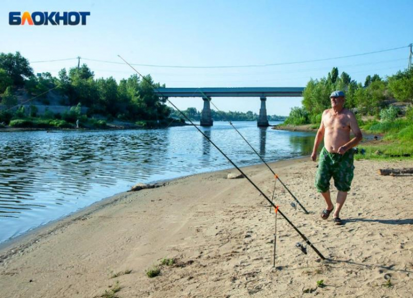 Рыбаки рассказали, как поймать большой улов на Ахтубе в Волжском