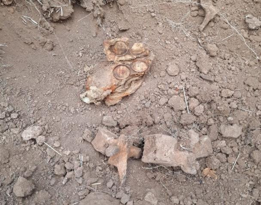 Погибший во взрыве под Волгоградом подросток оказался внуком командира поискового отряда