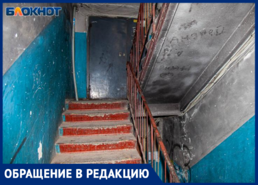«Мы с тараканами ничего не можем сделать?»: волжанка бьет тревогу из-за нашествия насекомых и бездействия УК