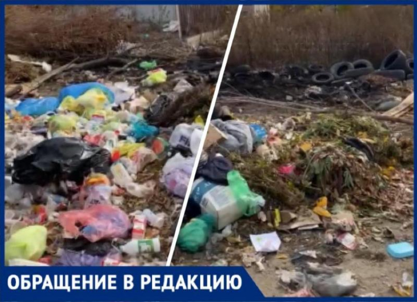 Центр Волгограда превратился в свалку: мусор копится на улице с июля