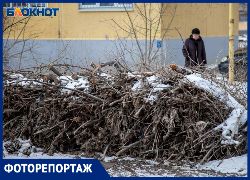 4 депутата и «Лада Дом» превратили дворы Волжского в свалки