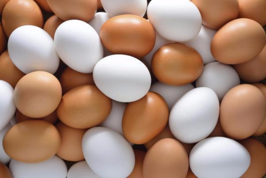 176 миллионов яиц планирует производить Волжская Птицефабрика в 2017 году