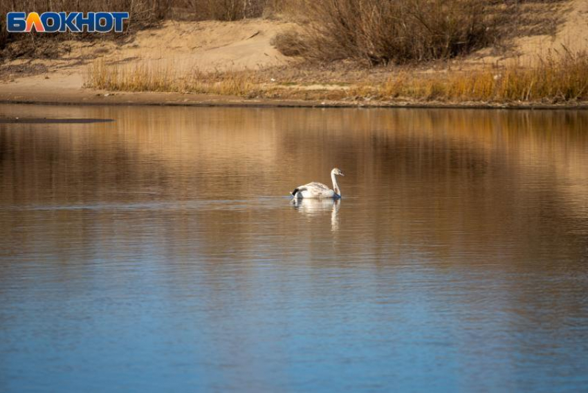 В Волжском в воскресенье будет пасмурно