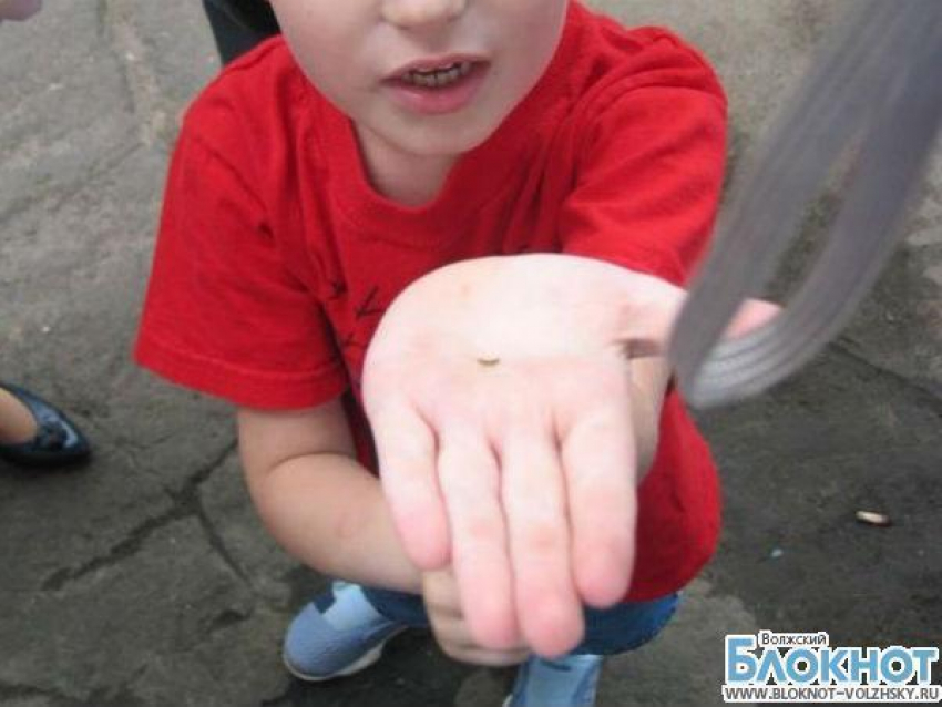 Волжанка попрошайничала вместе с 5-летним сыном