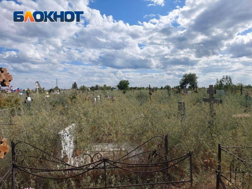 Волжское кладбище заросло бурьяном: кто ответственен за состояние погоста? 