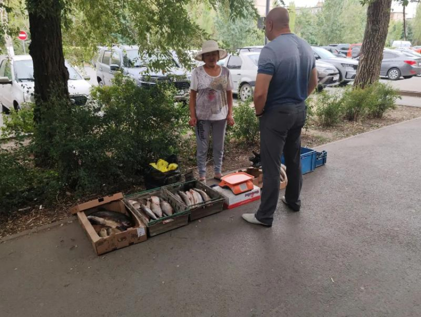 35 нарушений и шесть случаев бруцеллеза: чем опасны стихийные рынки в Волжском