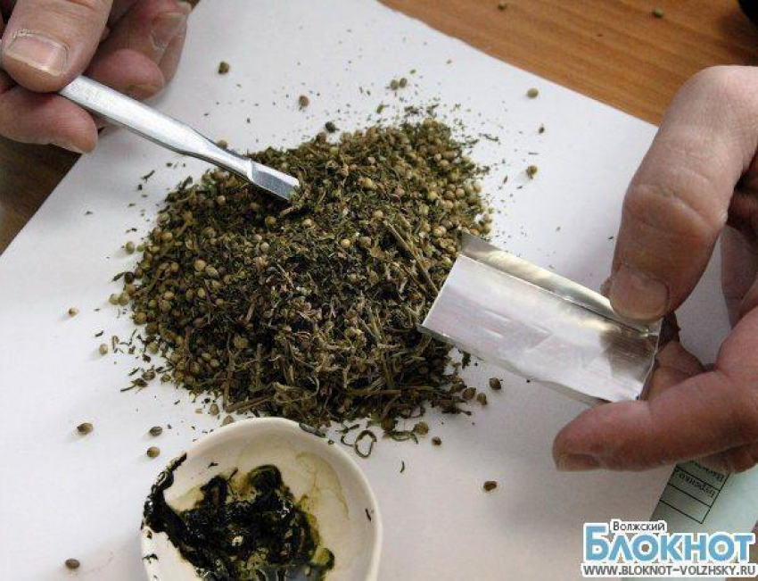 В Волгоградской области у водителя при осмотре изъяли 120 грамм марихуаны