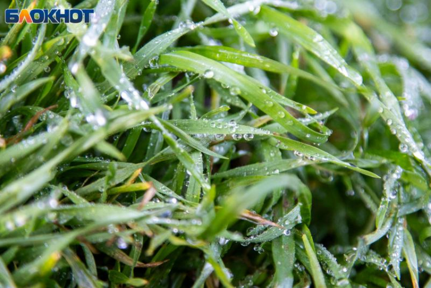 Солнце будет выглядывать из-за туч в четверг: погода