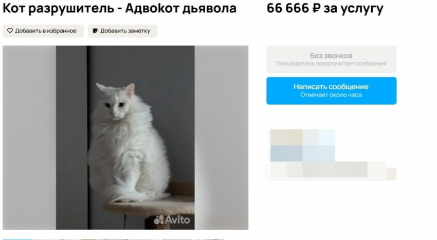 В Волжском за 66 666 рублей сдают в аренду адвокота Дьявола