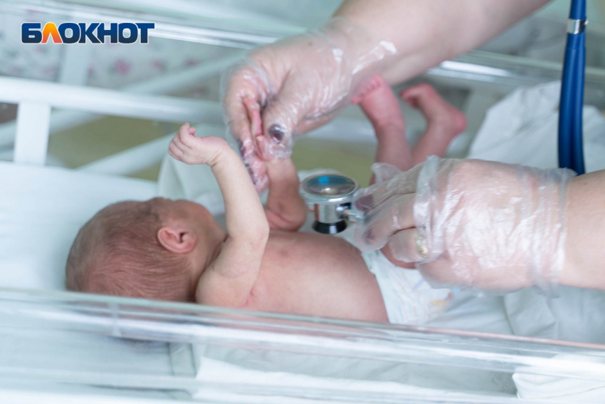 От Софии до Спартакова: какие имена выбирали новорожденным в Волгоградской области