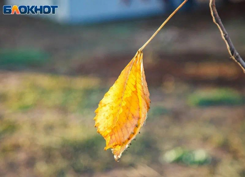 Густой туман накроет Волжский 1 ноября: прогноз погоды