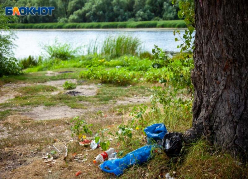 «Экоселфи – селфи с пользой»: волжан приглашают принять участие в фотоконкурсе