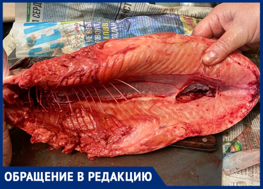 «Мясо разлагается»: волжанке нахамили после попытки вернуть деньги за некачественную рыбу на новогодний стол