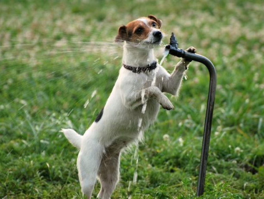 Четверг для волжан будет очень жарким