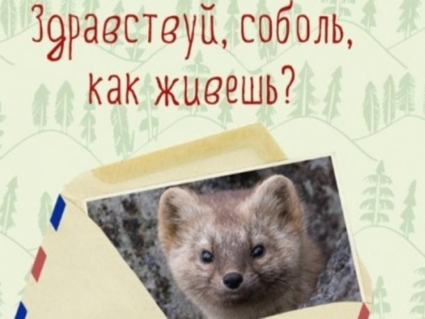 Педагоги от имени животных ответили на вопросы волжских школьников