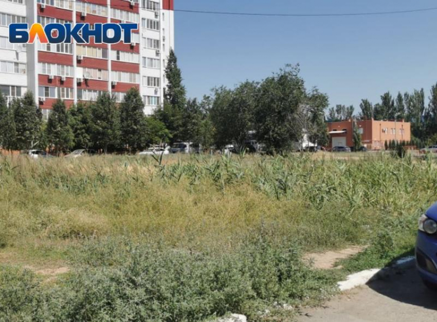 Большой пожар из-за беспечности властей ждут жители Волжского