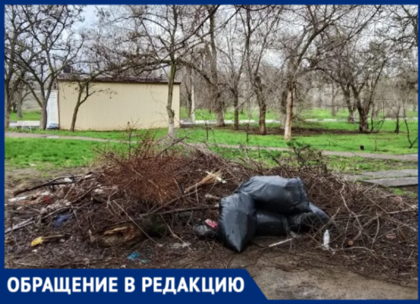 «Каждое утро выходишь и смотришь на эту шляпу»: волжане требуют убрать гигантскую кучу веток на Пушкина, 108