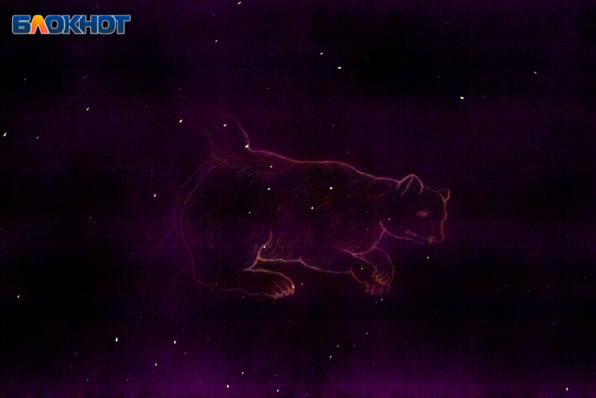 День внутренней глубины и домашних забот: гороскоп на 22 октября