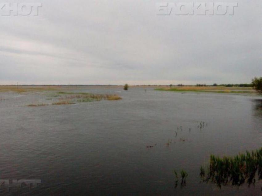 Под Волжским возродили озеро Широкогорлое, подготовив «почву» для жизни сазанов