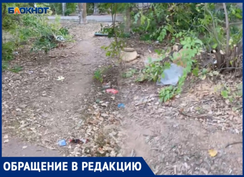 «Вроде город, а как будто в грязном лесу»: волжанка жалуется на мусор и сухостой в Волжском