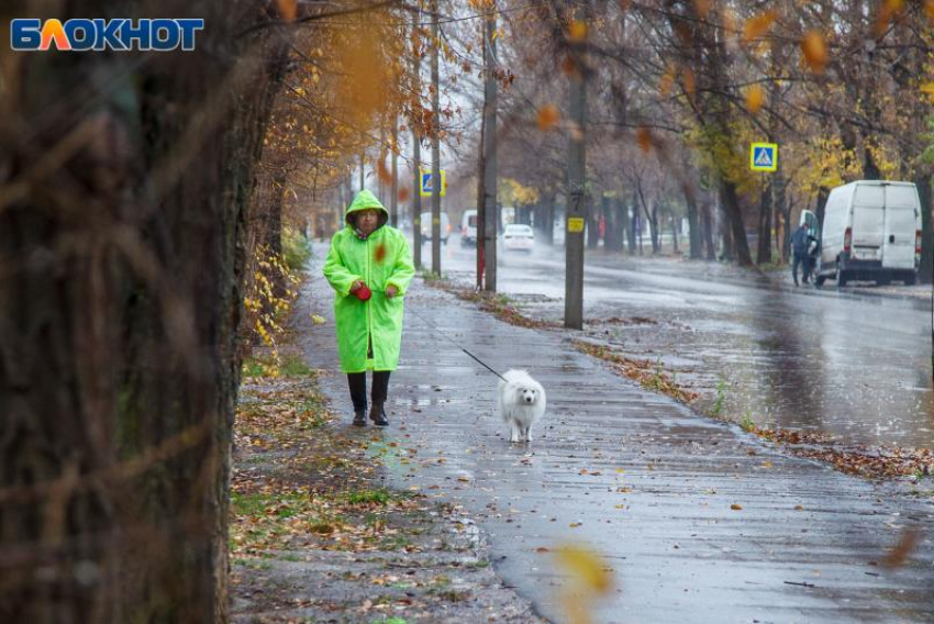 Похолодание, дожди и ветер: в Волжском прогнозируют изменения в погоде 