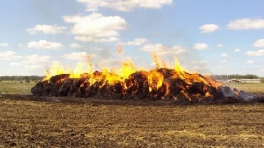 В Ленинском районе сгорело 80 тонн сена