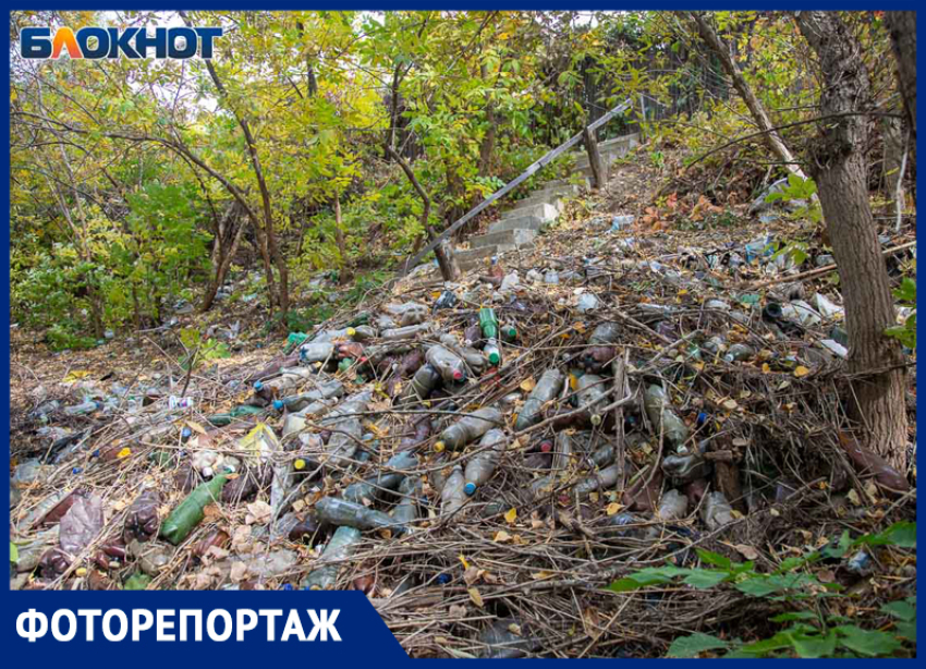 Бумажки, бутылки и хлам среди осенней красоты: что происходит на берегу Ахтубы