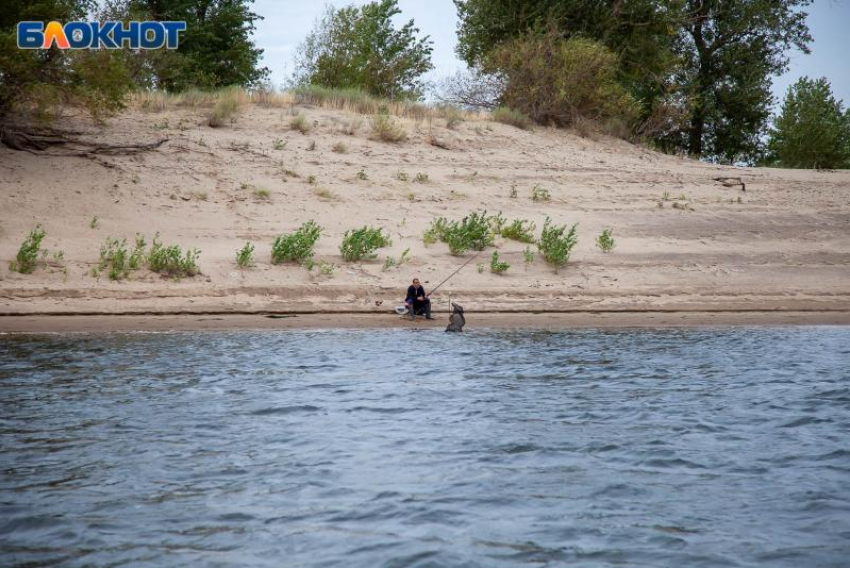 Понедельник в Волжском будет малооблачным: прогноз погоды