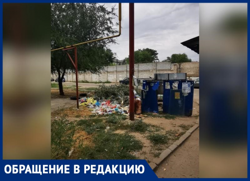 Двор превратился в гадюшник и свалку: больше месяца никто не вывозит мусор в Волжском