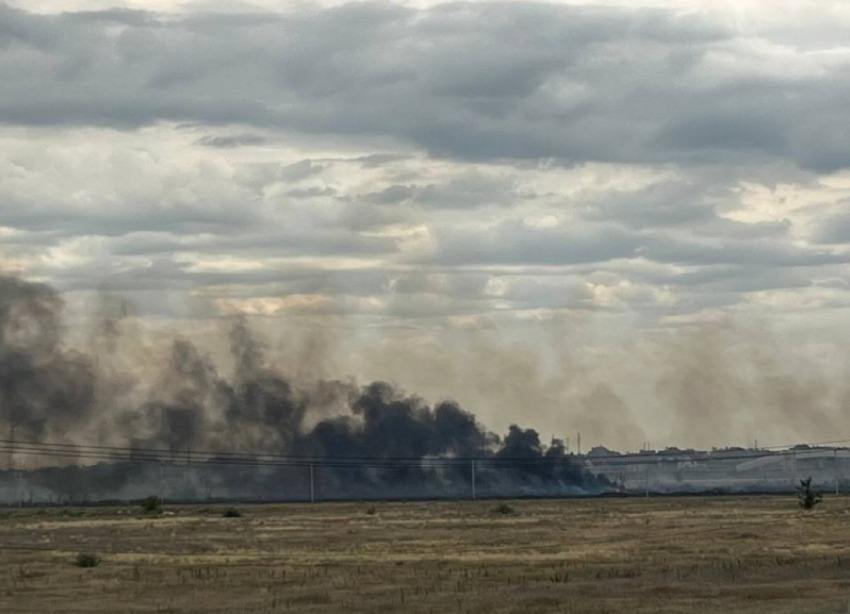 В Волжском пылает пустырь площадью 800 квадратных метров. Видео