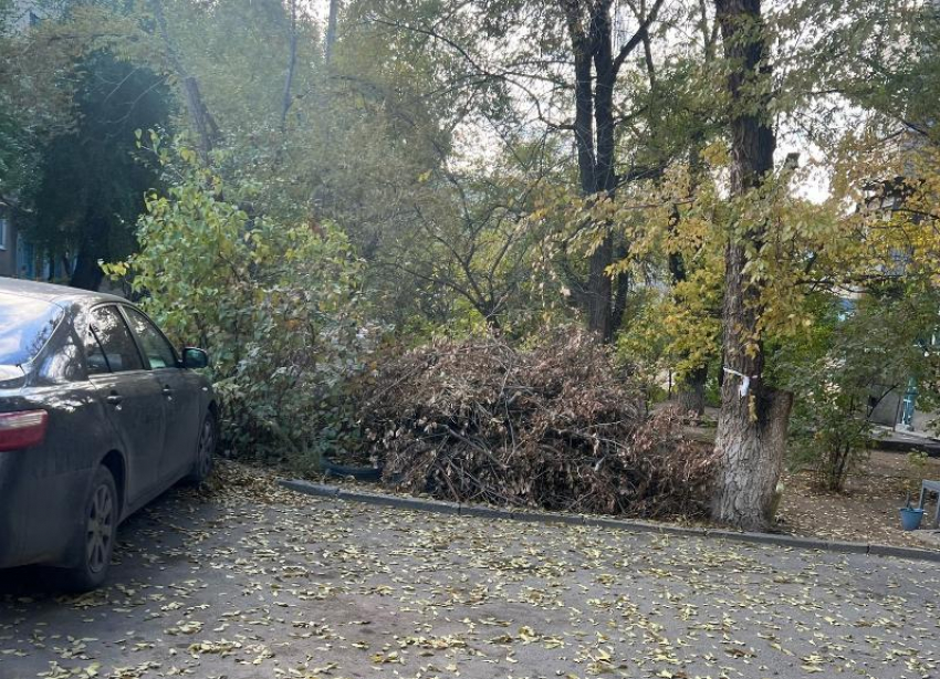 Очередная копна сухостоя: волжане недовольны бездействием УК и регоператора