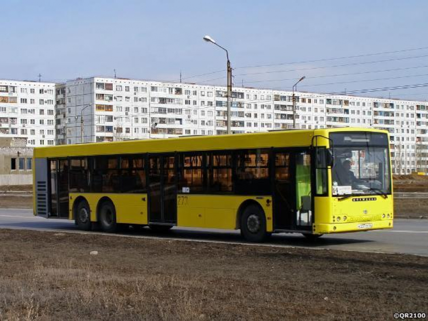 Автоколонна подарила волжским дачникам пять дней