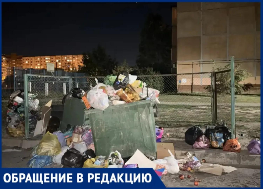 Зловонная свалка во дворе в Волжском доводит жителей до истерики: регоператор не вывозит мусор неделями