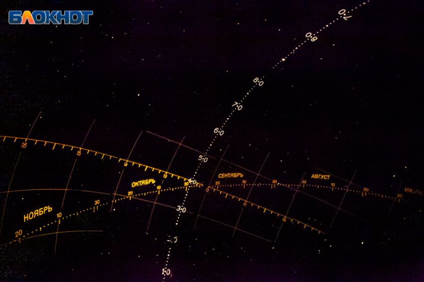 Атмосфера настраивает на общение и обучение: гороскоп на 6 декабря