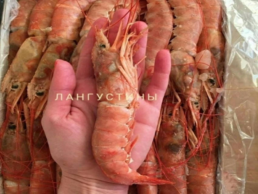 Устройте праздник вкуса для себя и ваших близких