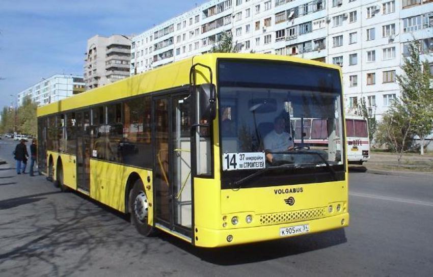Единый проездной «трамвай-автобус» впервые появится в Волжском с 1 ноября