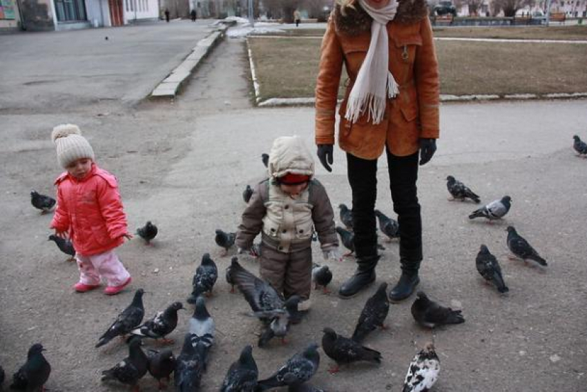 В Волжском продолжают выплаты родительского капитала