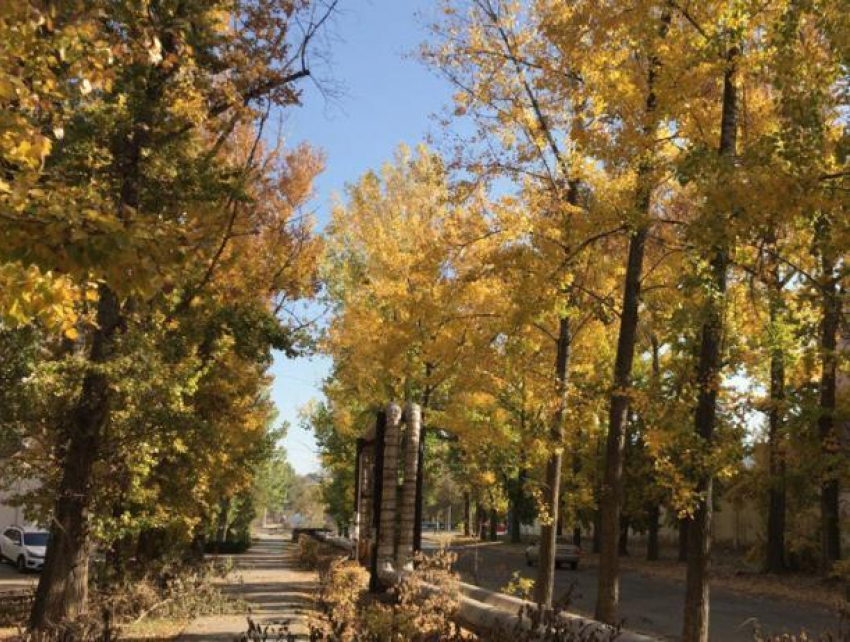 В воскресенье волжанам спрогнозировали морось