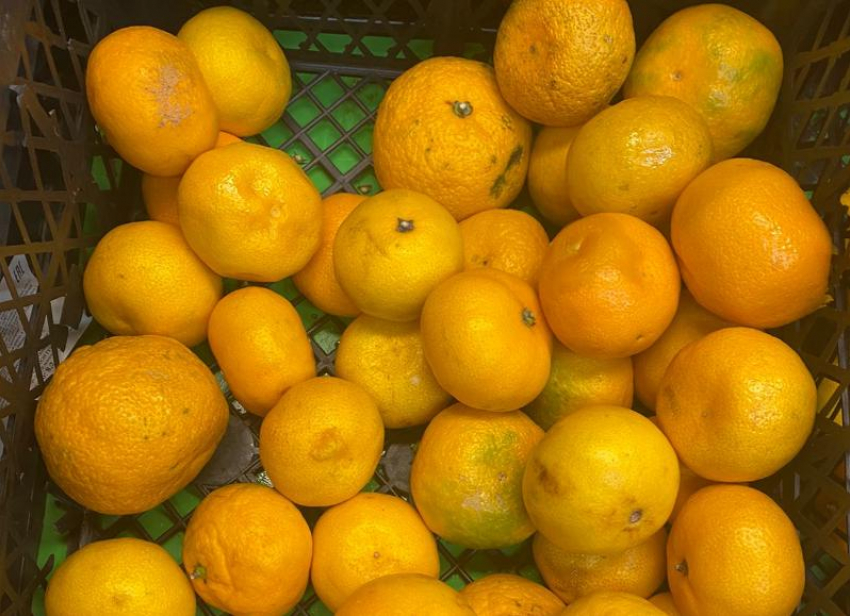 Продуктовая корзина недели: сравниваем цены на мандарины в магазинах Волжского 