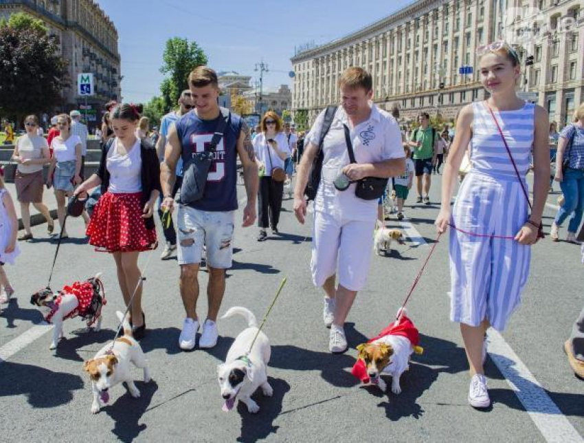 Впервые в Волжском пройдёт шествие собак