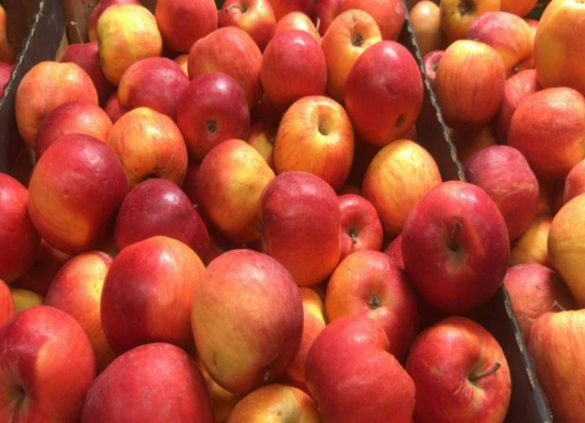 Сколько стоит греховный  плод в Волжском: актуальные цены на яблоки в магазинах