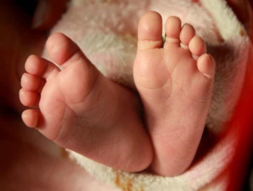 В Волжском появилась «горячая линия» по вопросам оформления выплаты на первого ребенка