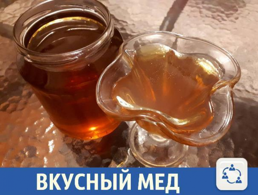 Натуральный мед из Урюпинска предложили волжанам