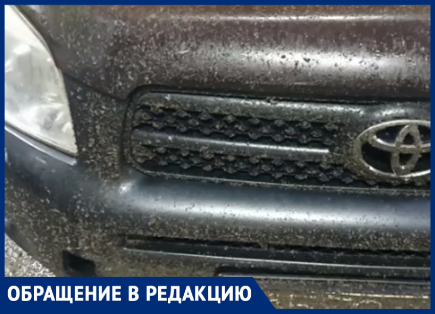 «Мошки обглодали мой автомобиль»: волжанин рассказал о поездке в Астрахань