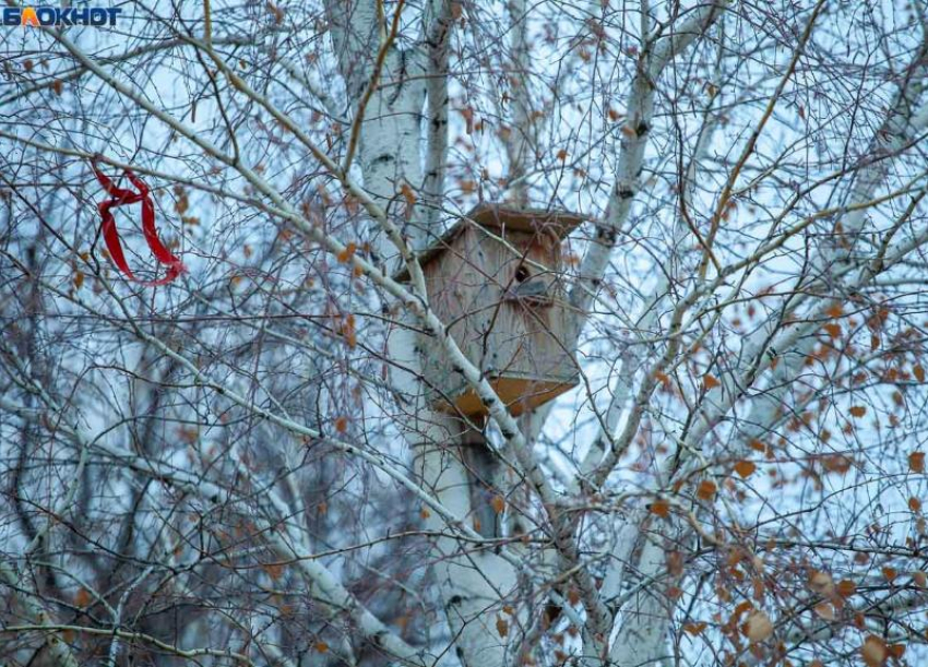 Слякоть и тучи: какую пятницу обещают волжанам