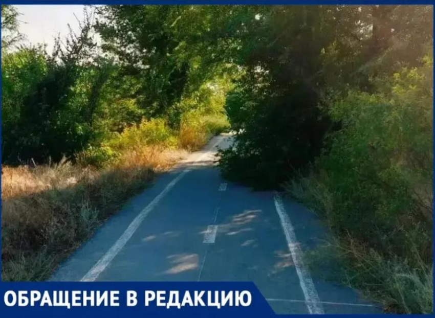 В непроходимые джунгли превратились велодорожки в Волжском 