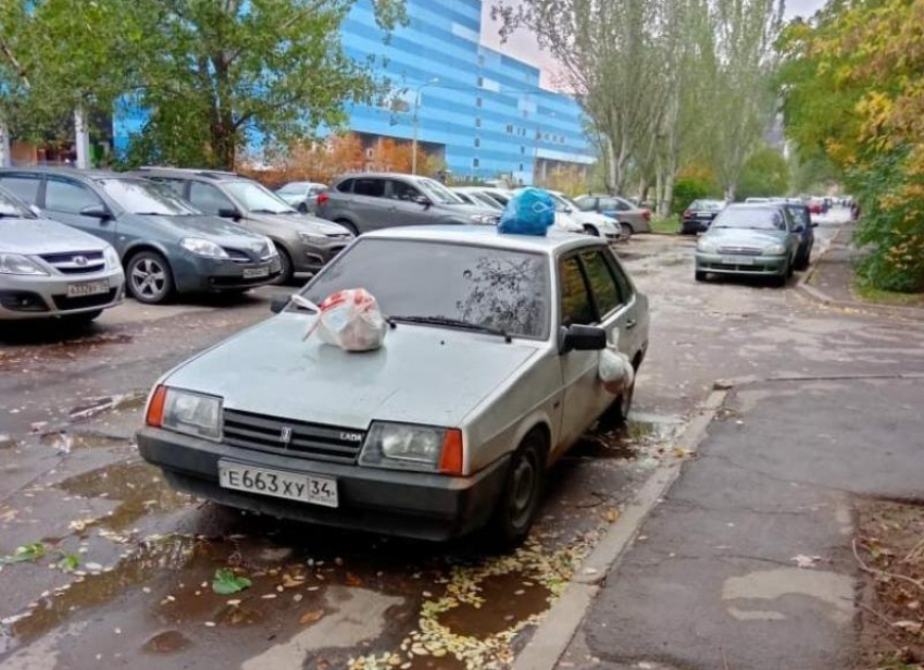 Этот будильник не выключить: ежедневные утренние вопли соседки на машины сняли на видео в Волжском