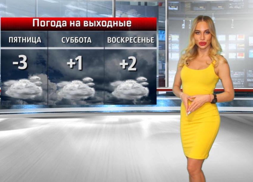 От холода завоешь по-собачьи! Все о погоде в Волжском в День животных