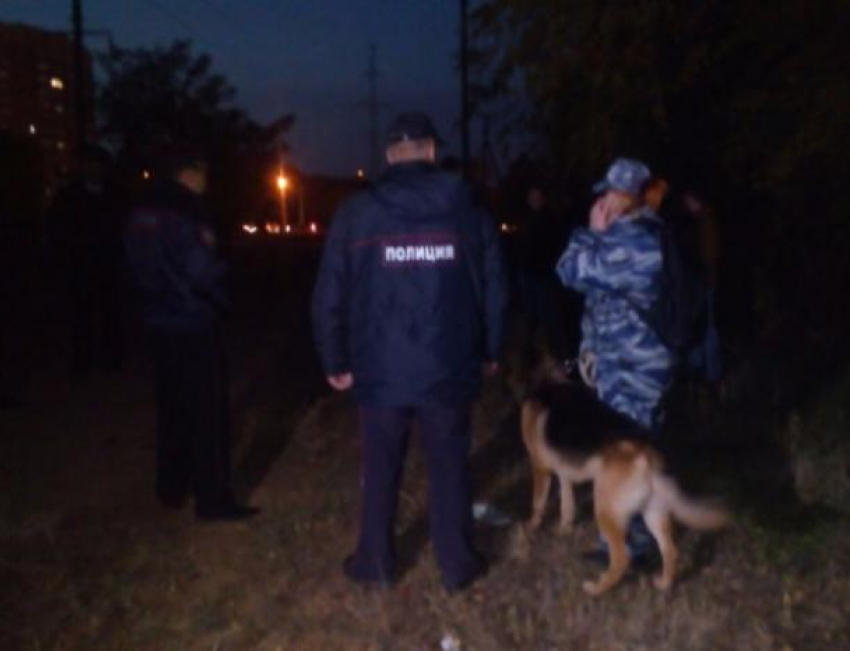 Правоохранительные органы проверяют местность с собаками в Волжском